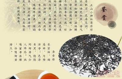 百茶人生 品味特級正山小種紅茶
